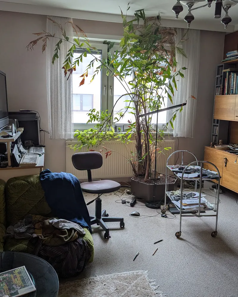 Wohnzimmer vor dem Aufräumen: Bürosessel, Servierwagen und Kleidung auf dem Sofa, eine große Zimmerpflanze am Fenster.
